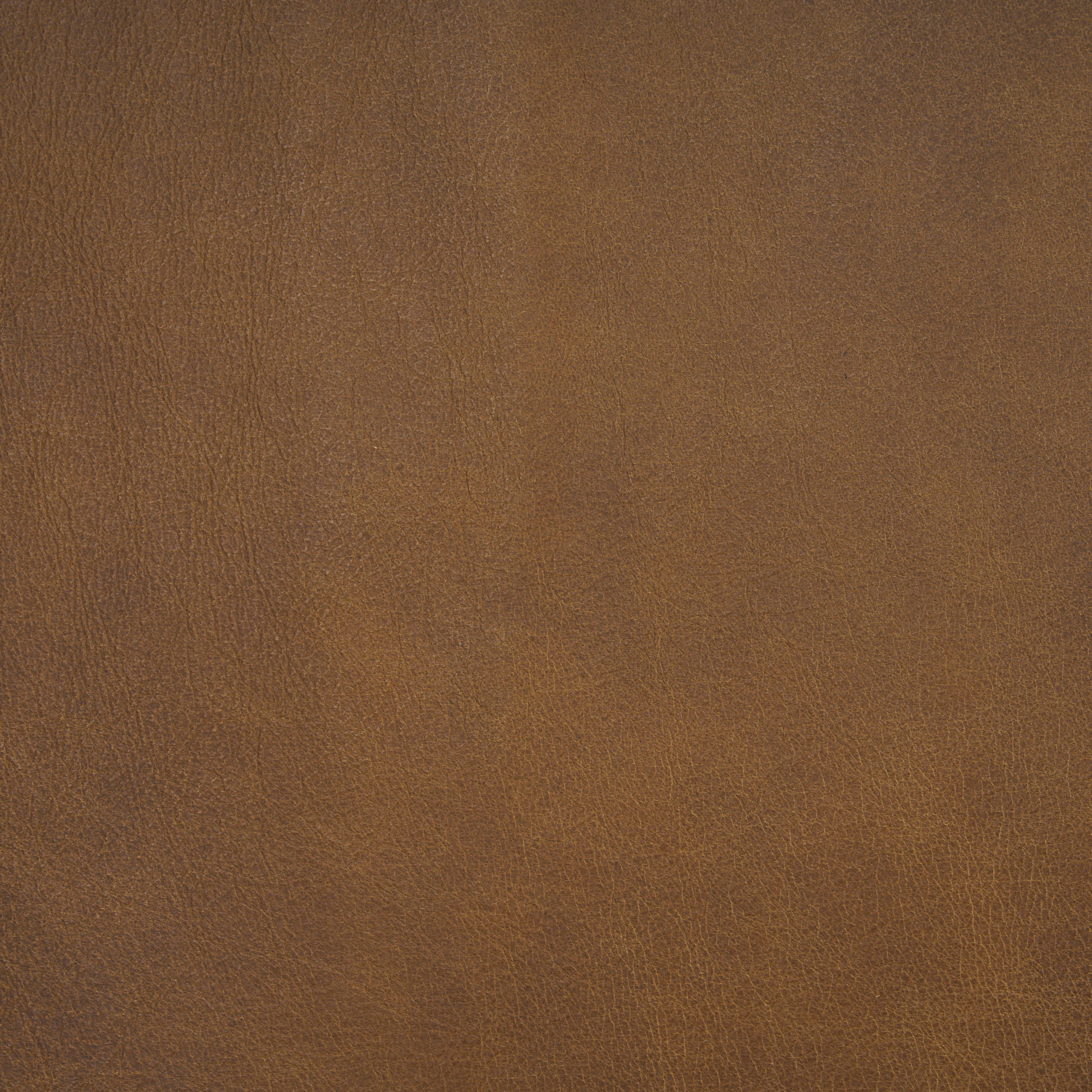 Berbick Leather Dining Chair