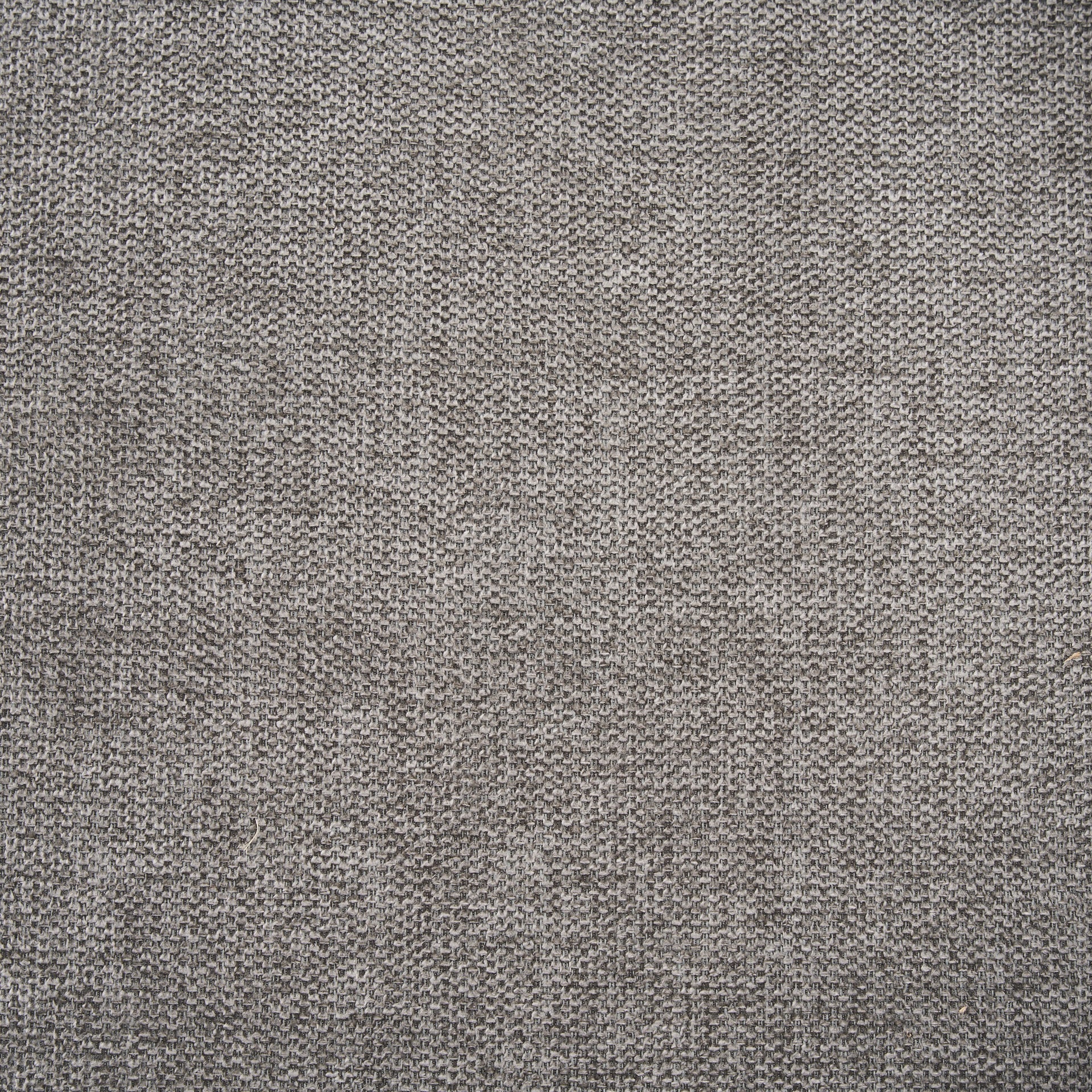 Eve Fabric Dining Chair