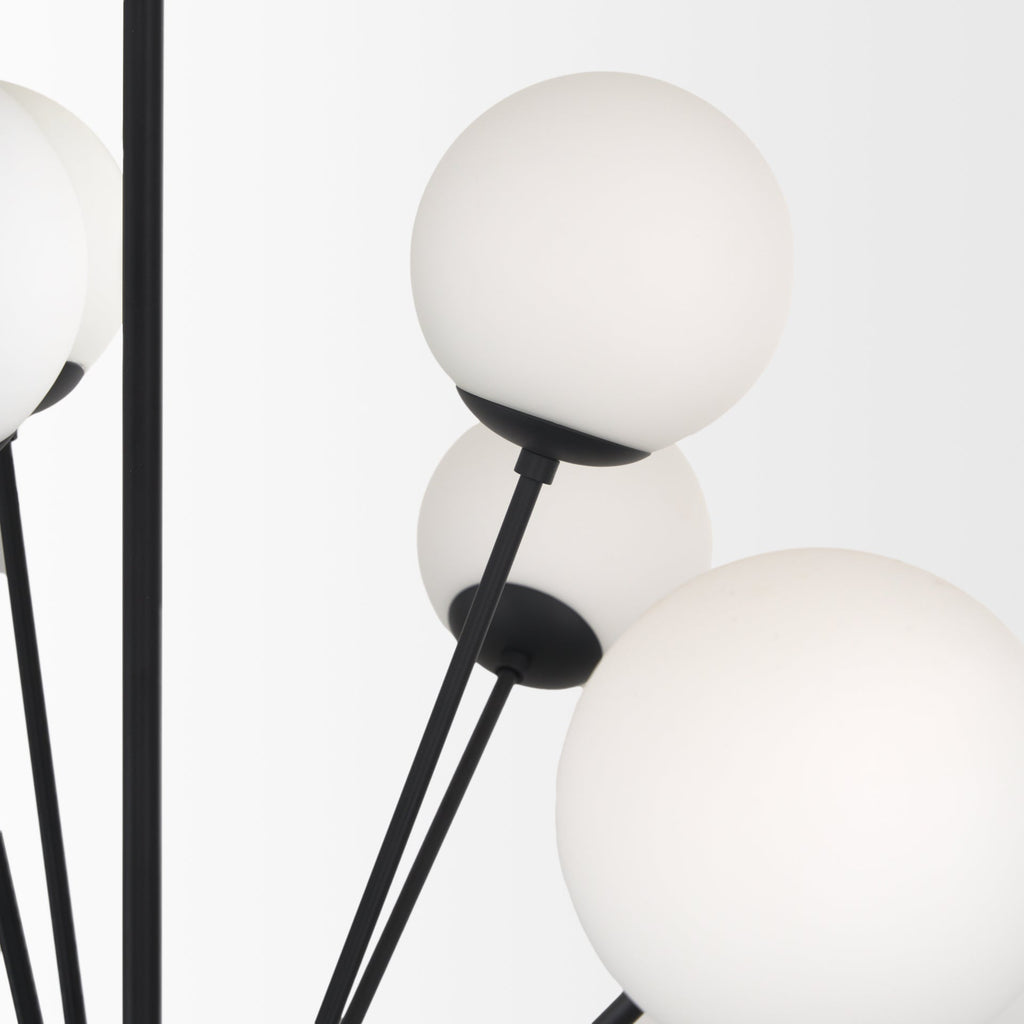 Barbara Chandelier