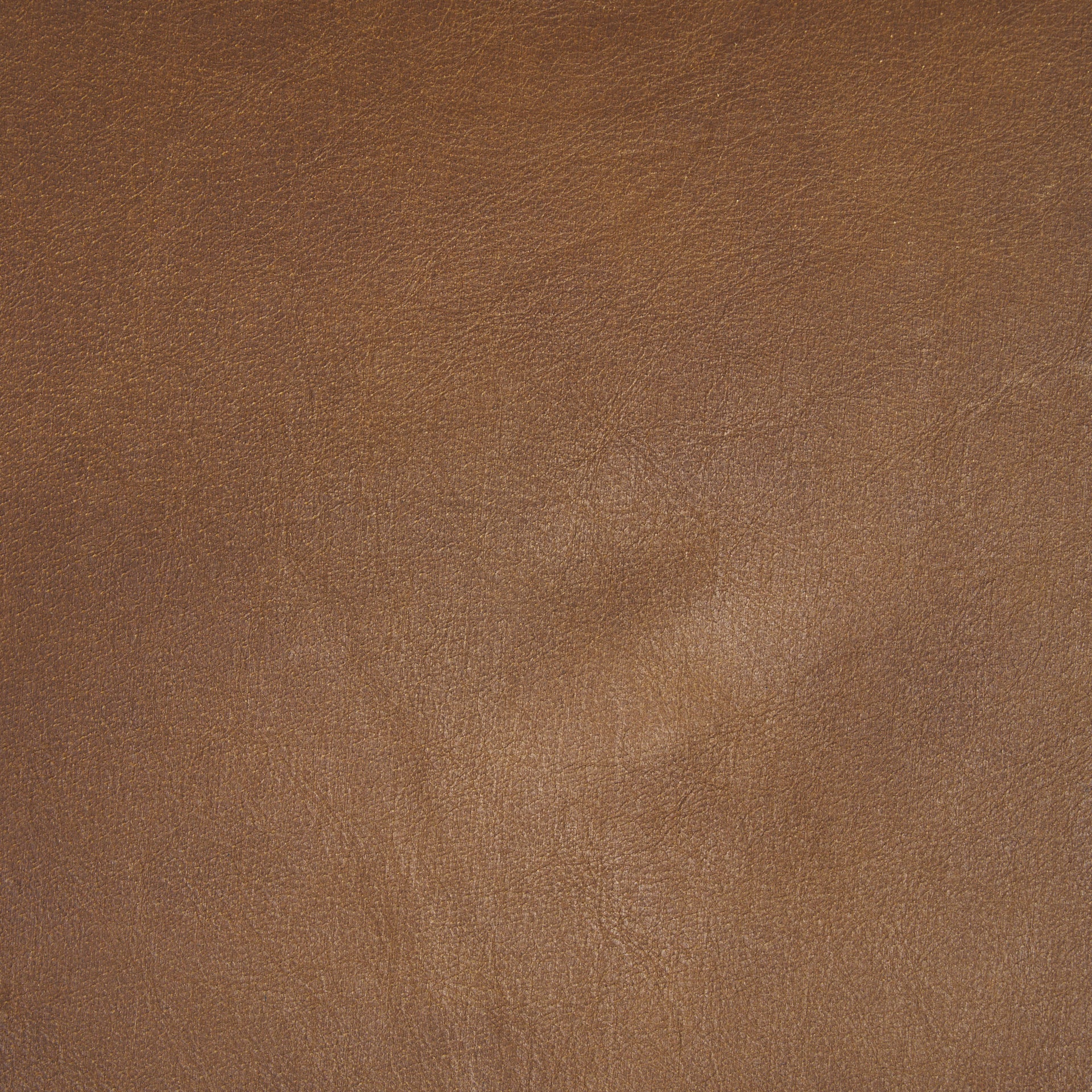 Taniel Leather Seat Counter Stool