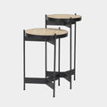 Wade End/Side Tables Set of 2