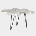 Trillium Coffee Table