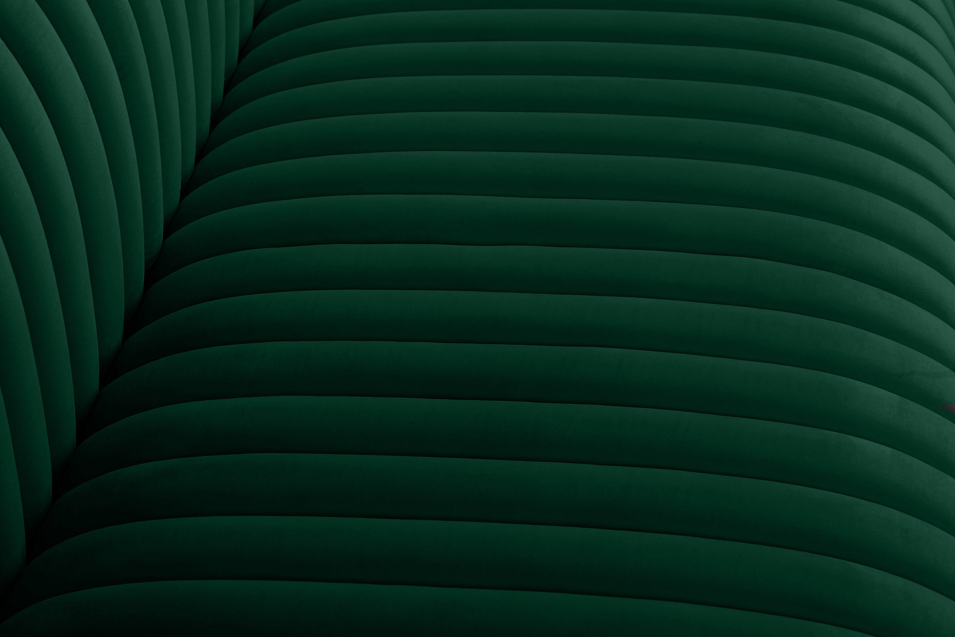 Ravish Velvet Upholstered Chair