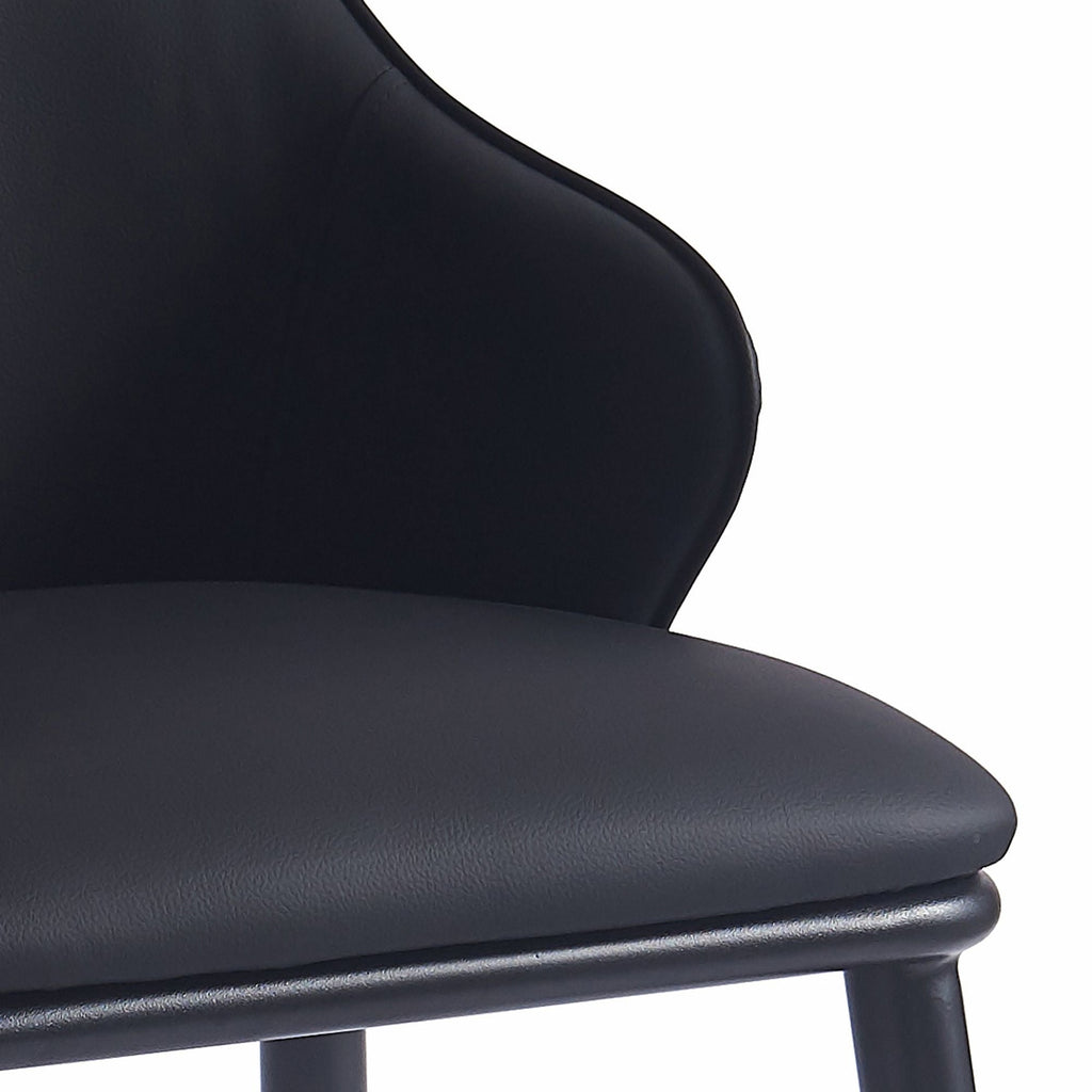 Kash Dining Chair, set of 2, in Black Faux Leather and Black
