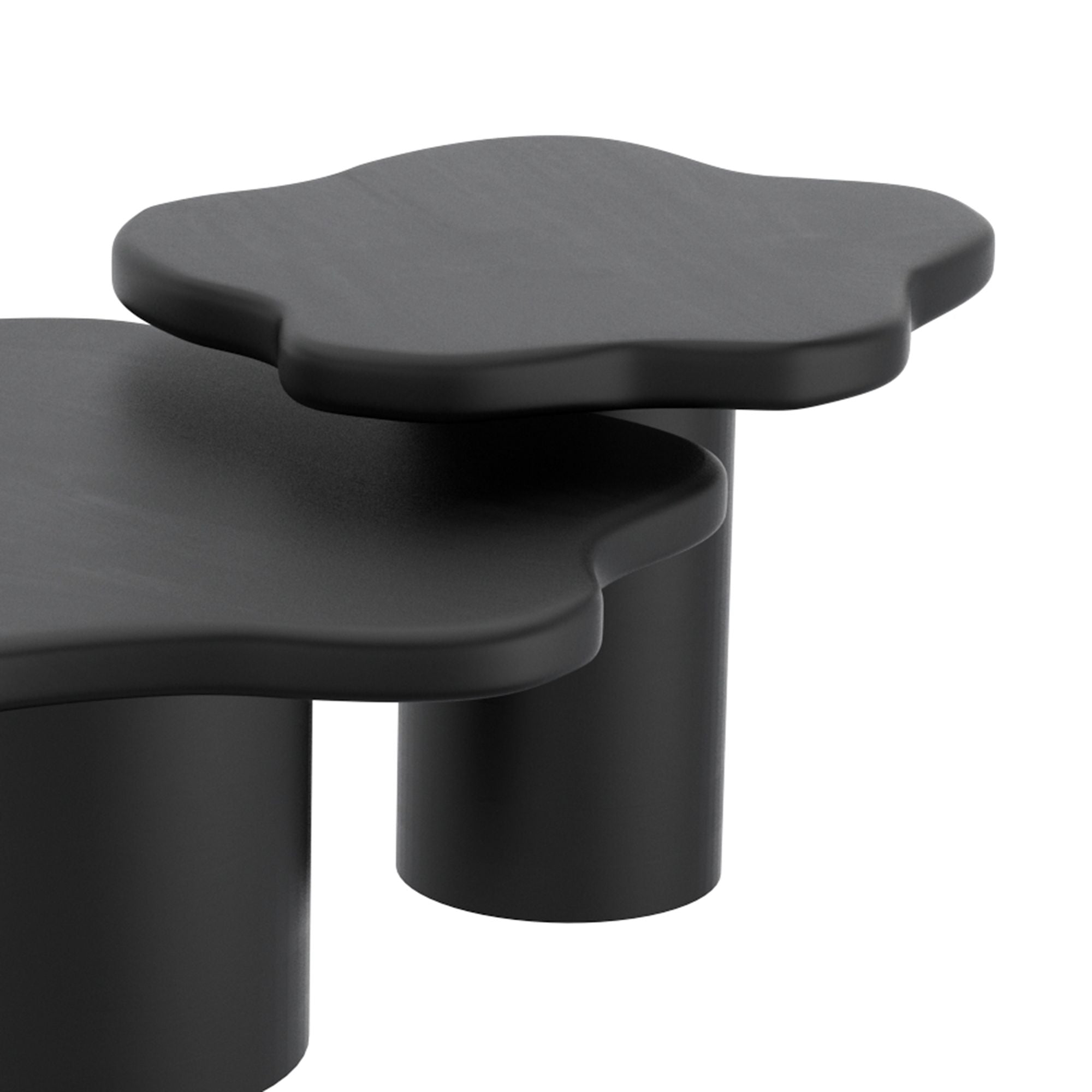 Mayal Small Coffee Table in Black