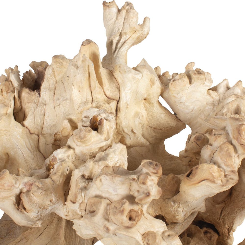 Elemental Root Outdoor Sculptures, S/2