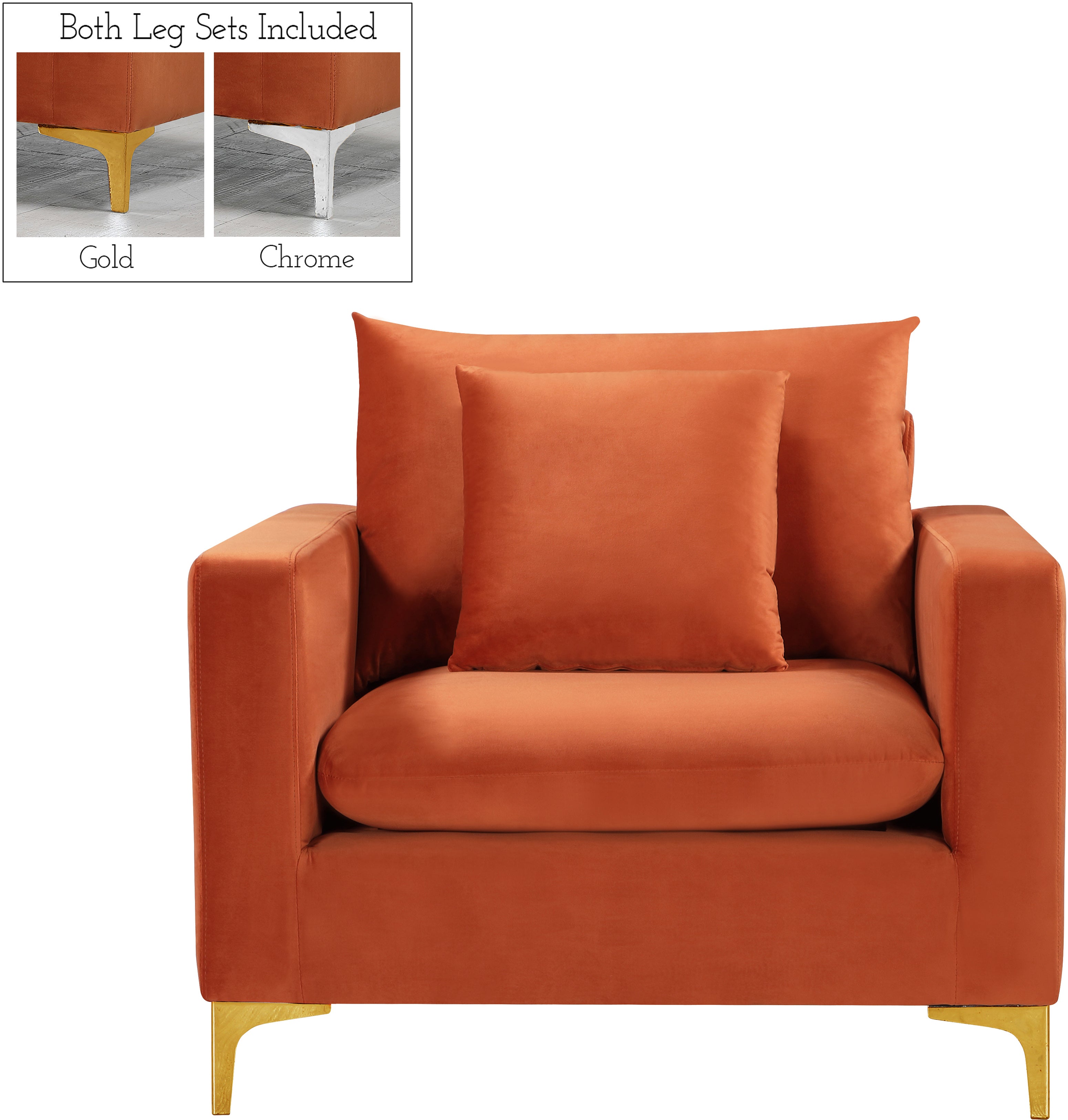 Naomi Velvet Upholstered Chair