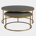 Aragon Nesting Coffee Tables, S/2, Gray