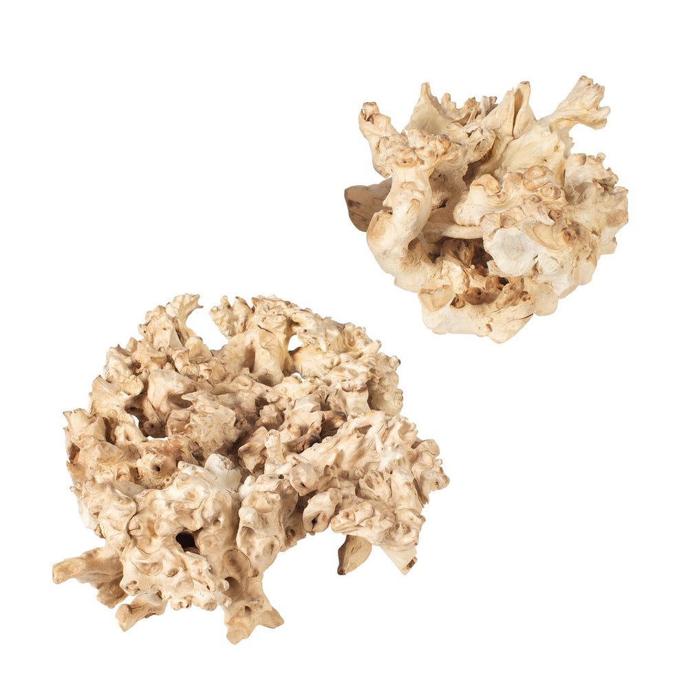 Elemental Root Outdoor Sculptures, S/2