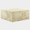 Cosmos 36" Square Burl Wood Coffee Table