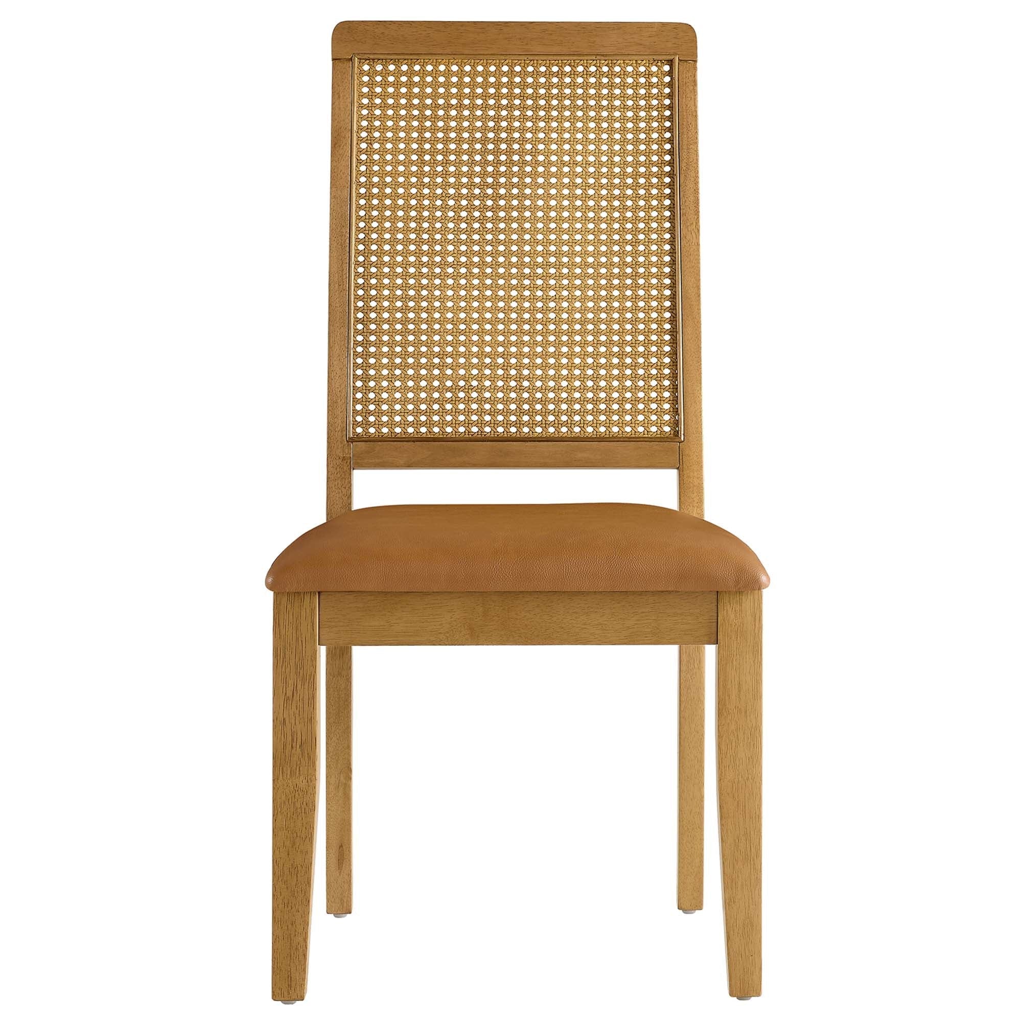 Arlo Vegan Leather Upholstered Faux Rattan and Wood Dining Side Chairs Set of 2