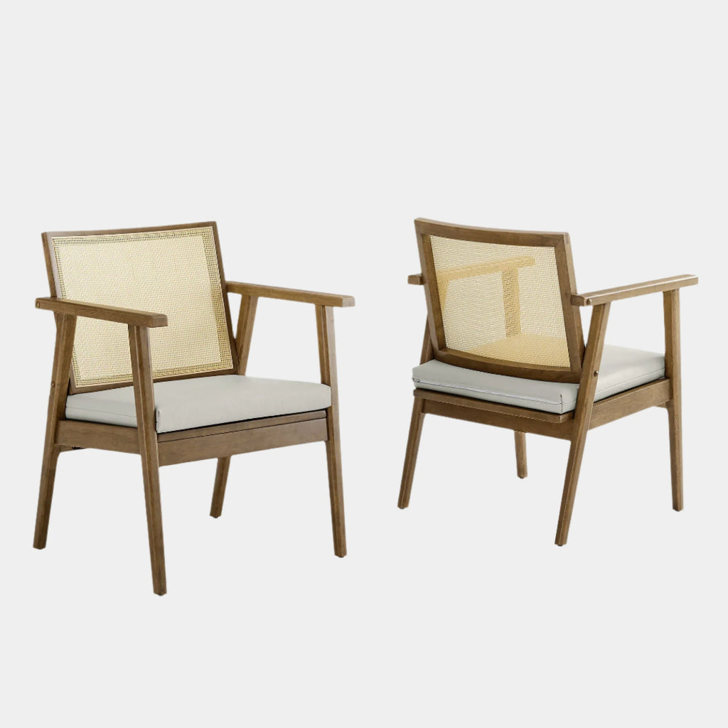 Thera Vegan Leather and Cane Accent Armchairs Set of 2