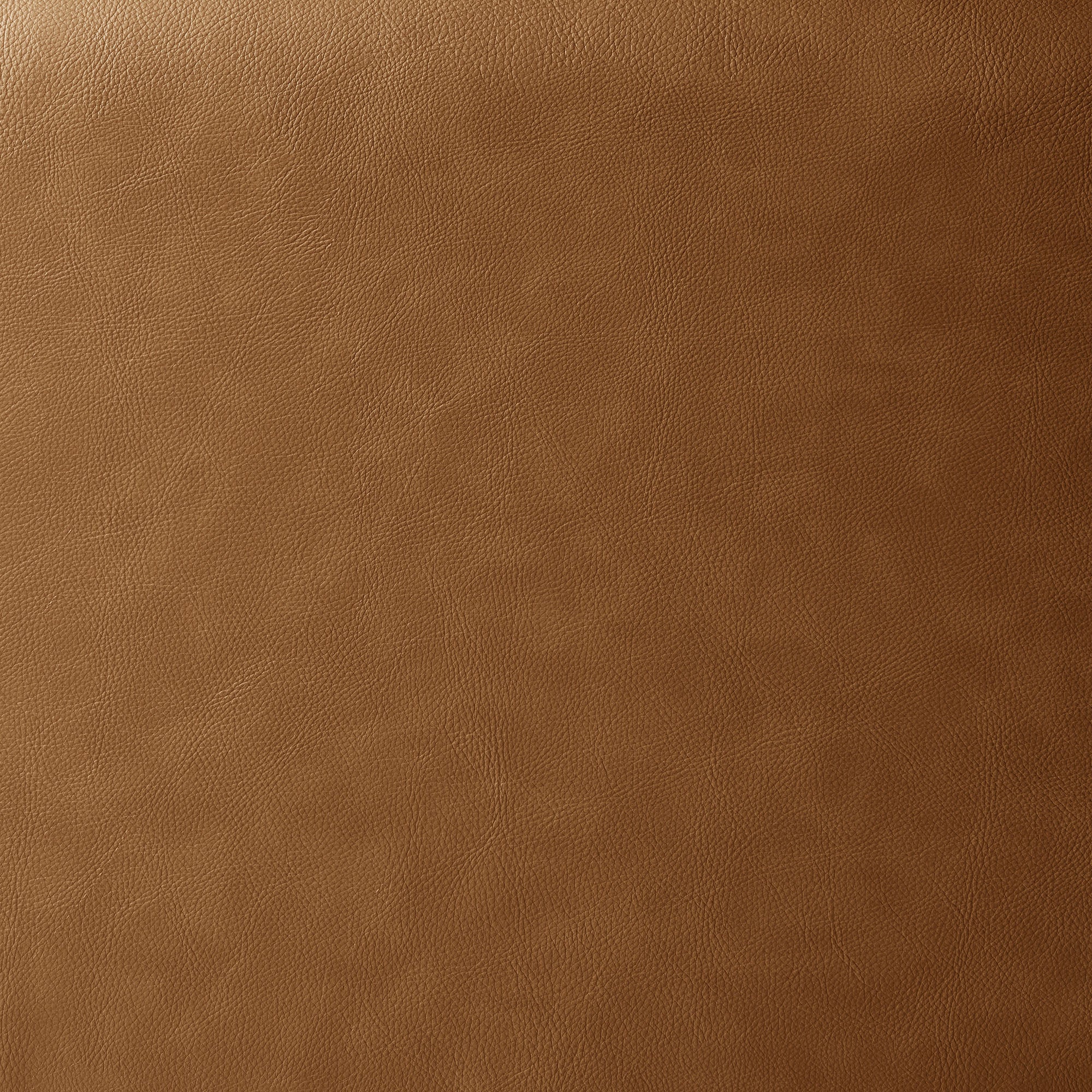 Revive Upholstered Vegan Leather Loveseat