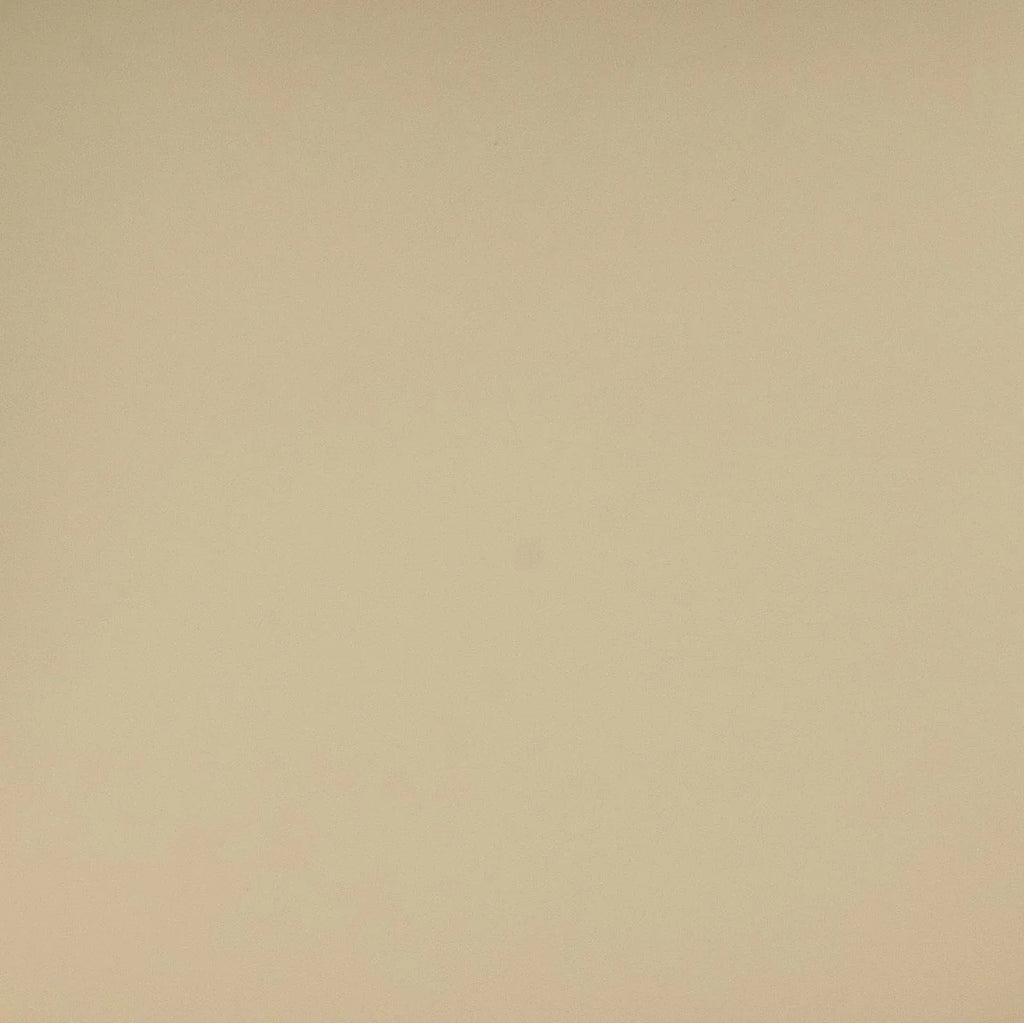 Betsy Taupe Contract-Grade Vegan Leather Dining Chair