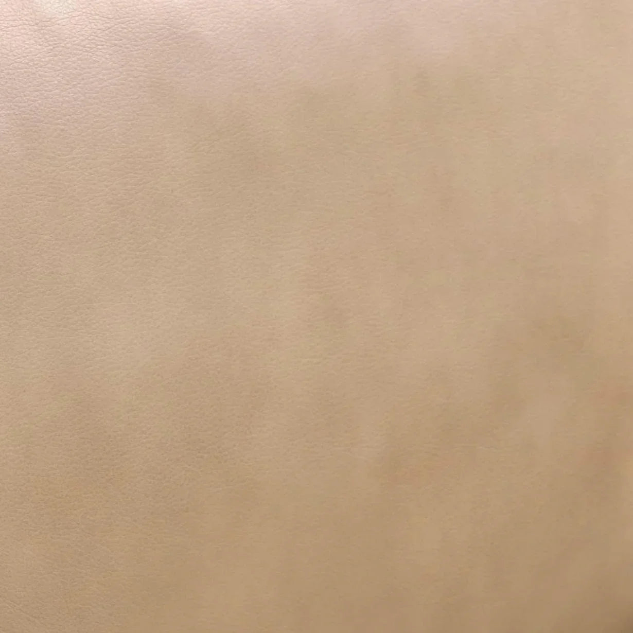 Chakka Contract-Grade Genuine Leather Accent Chair