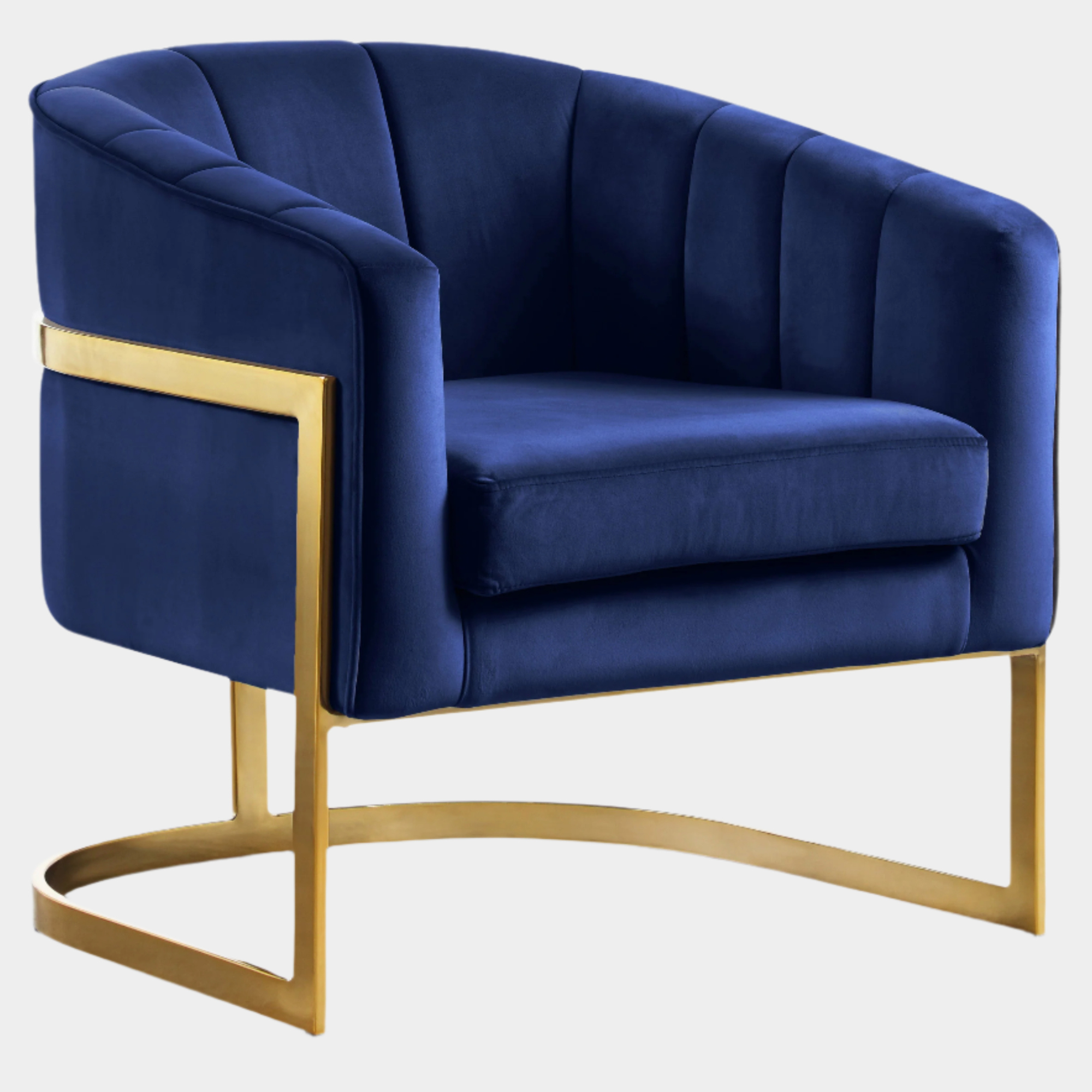 Carter Velvet Upholstered Accent Chair