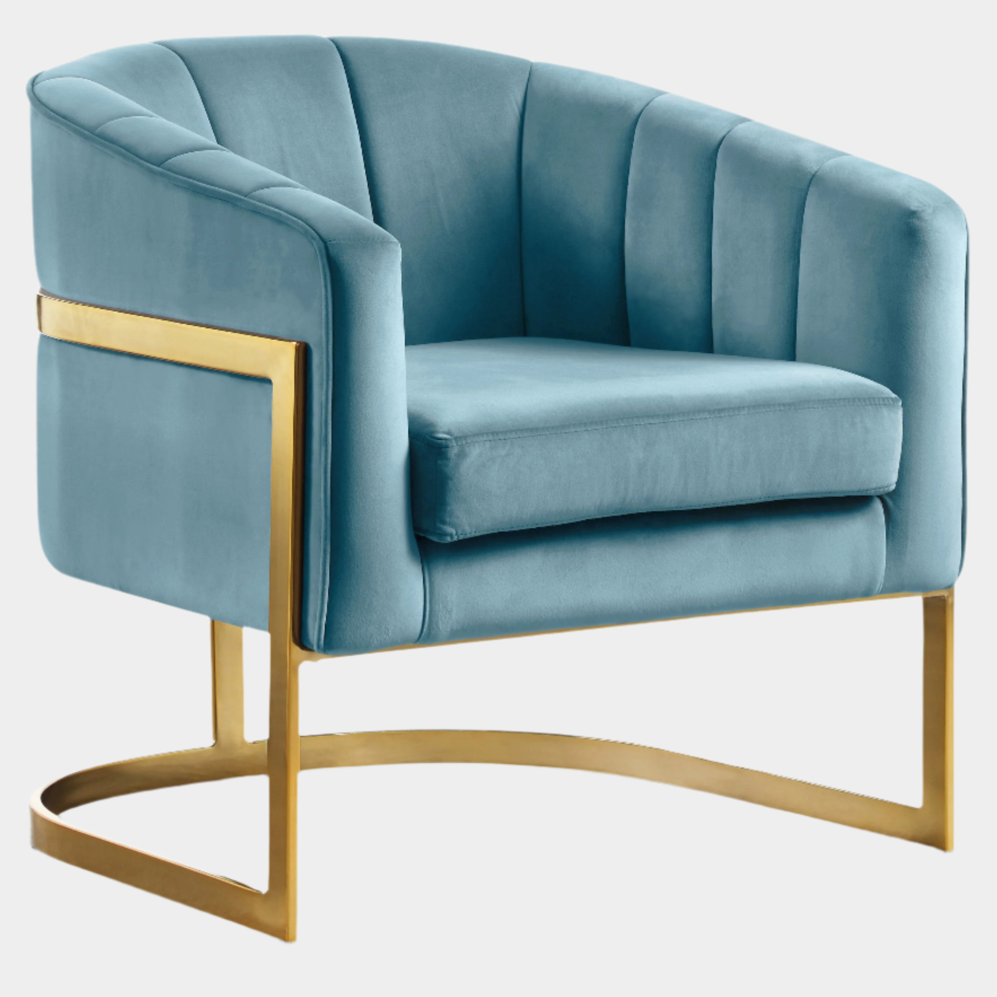 Carter Velvet Upholstered Accent Chair