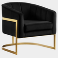 Carter Velvet Upholstered Accent Chair