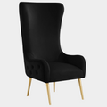 Alexander Velvet Upholstered Accent Chair