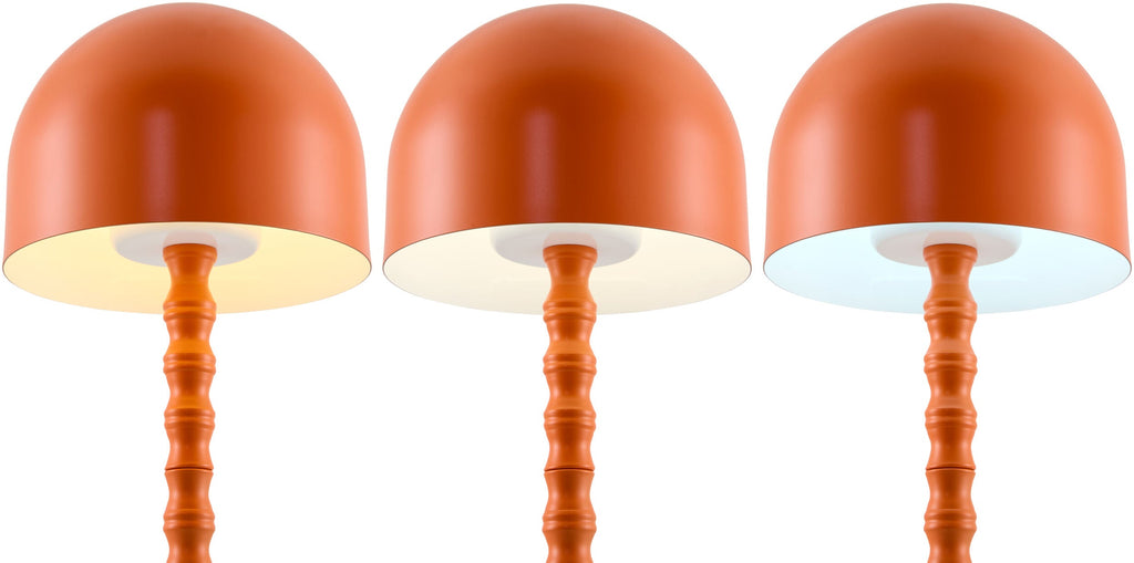 Gaios Accent Table Lamp