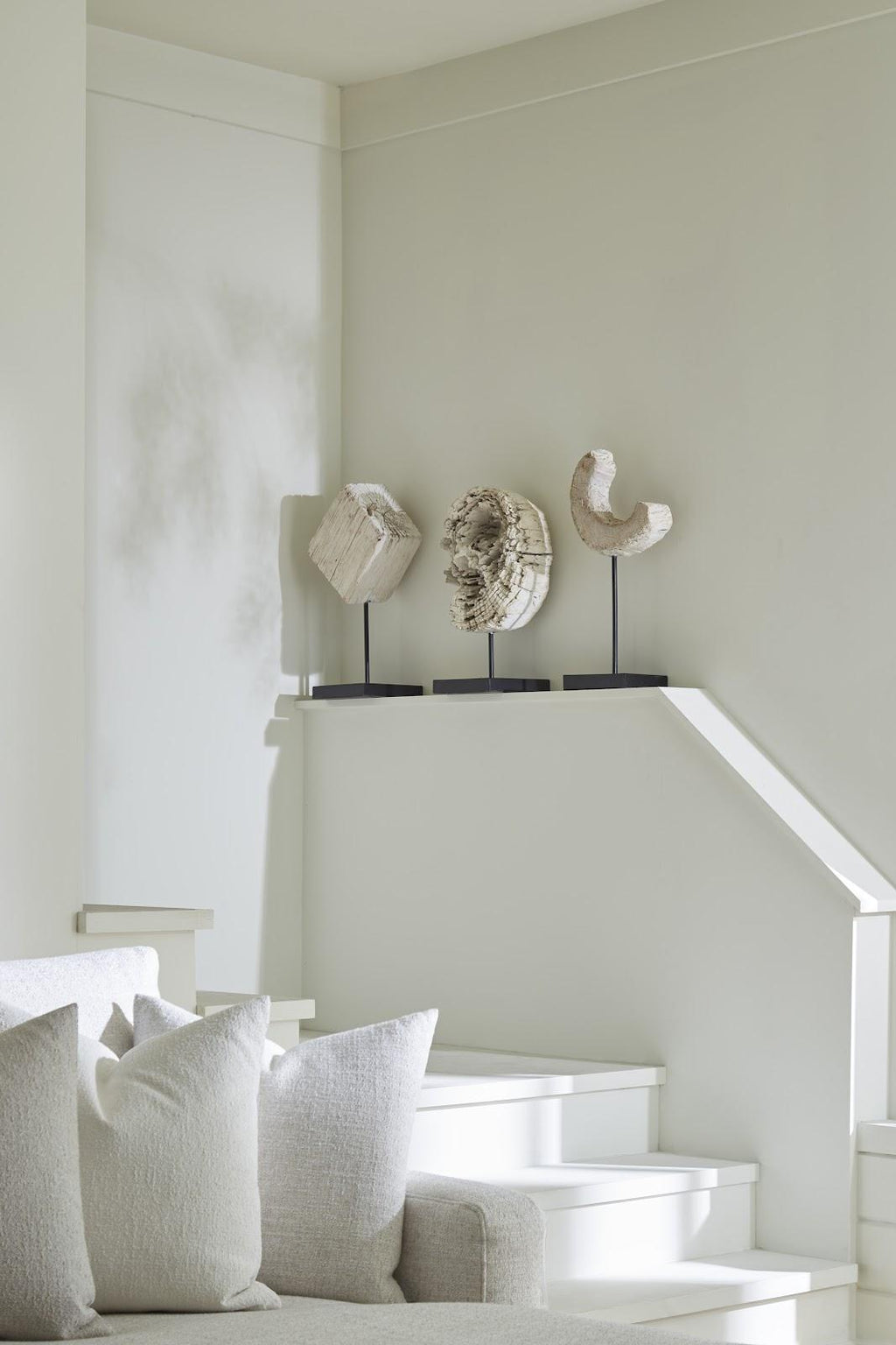 Eroded Wood Circle Sculpture on Stand , Assorted