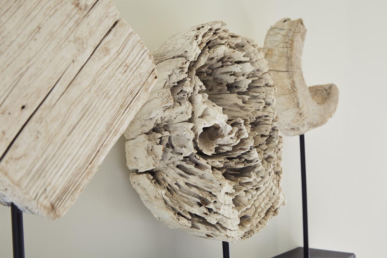 Eroded Wood Circle Sculpture on Stand , Assorted