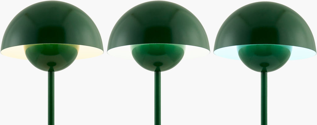 Mayotte Accent Table Lamp