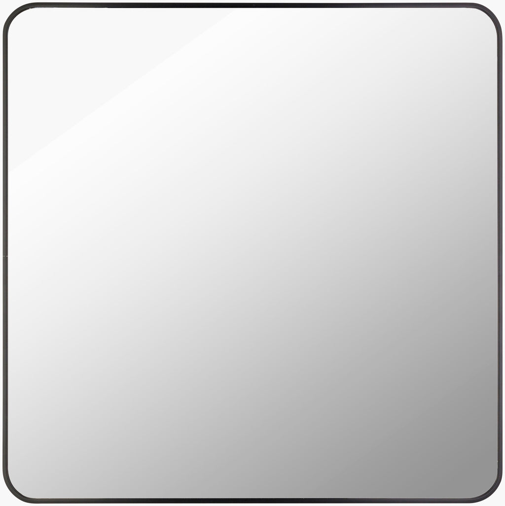 Aranya Accent Mirror