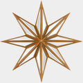 Starfish Mirror