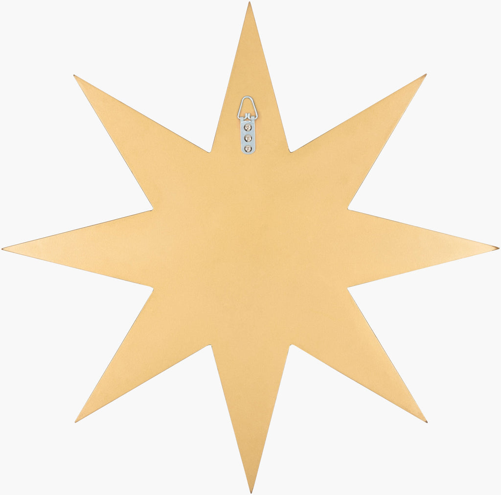 Starfish Mirror